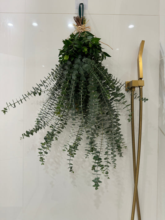 Eucalyptus & Myrtle Shower Bundle