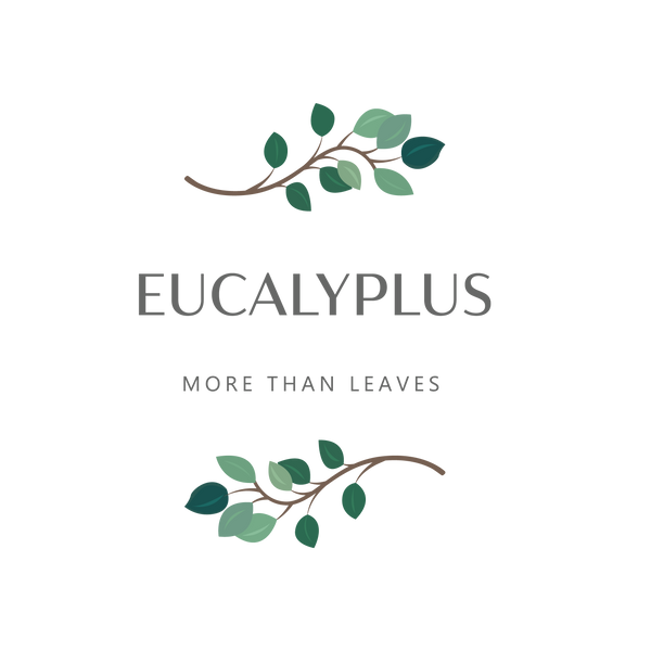 Eucalyplus - More Than Leaves 